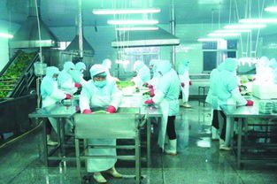 國(guó)內(nèi)最成功的 山寨 認(rèn)為正品質(zhì)量太差,因此收購(gòu)正品公司