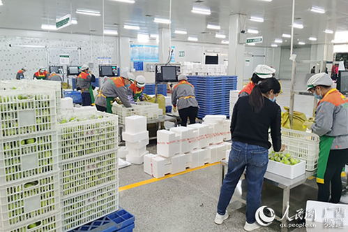 廣西金融投資集團(tuán)助力中小微企業(yè)渡難關(guān)