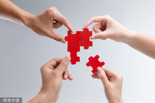 國泰君安2023年業(yè)績回顧 營收凈利雙降下的穩(wěn)健分紅與代理記賬業(yè)務展望